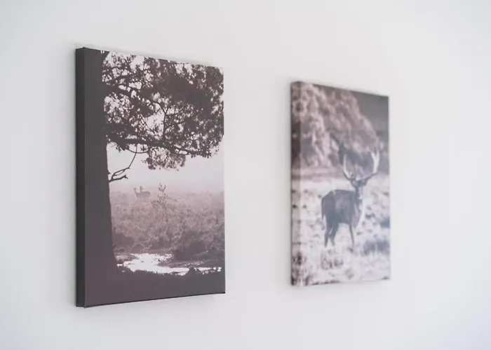 Fullhouse - - K31 - Balcony - 2 Queensize Beds - Smarttv *